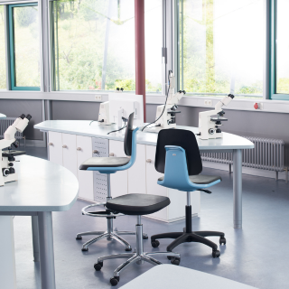 Görgős vagy fix talpas laborszék? – Mozgástér, stabilitás, ergonómia